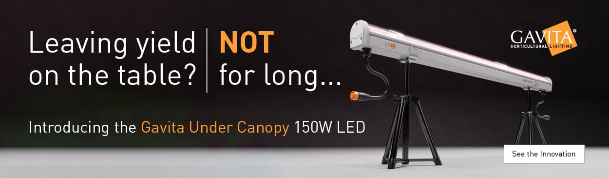 Gavita Under Canopy 150W LED