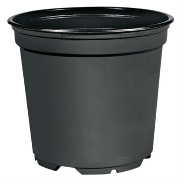 POPP VCC 12 F US-0475 BLK 1440/CS