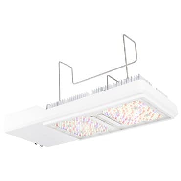 Gavita CT1930e LED 120-277V (1/CS) (27/PL)