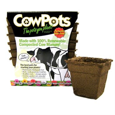 Summit Cow Pot #4 Square 12ct