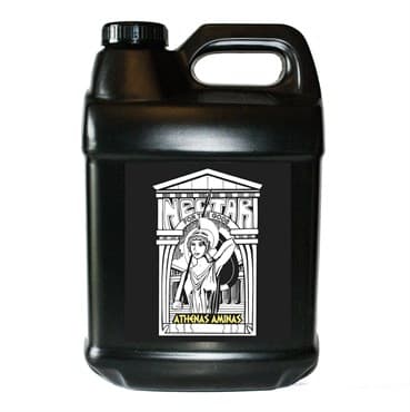 Nectar for the Gods 2.5 Gallons Athenas Aminas