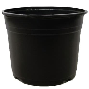 POPPELMANN VCD 16.5 AZALEA POT BLACK, 530 PER CASE, 16 CASES PER PALLET, 6-1/2" X 5", 2.04 qt (1.93 l)