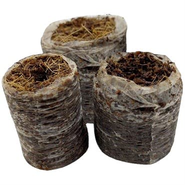 Riococo 32mm PCM Plug 2500/CS (157500/PL)