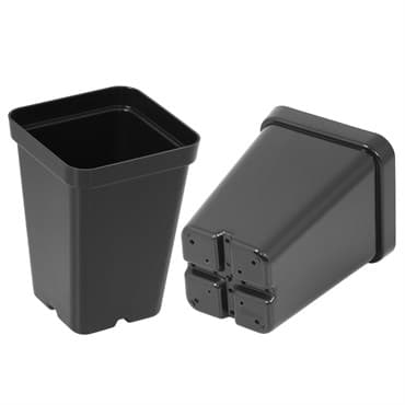 SunPack 2.5" Square Pot, Black