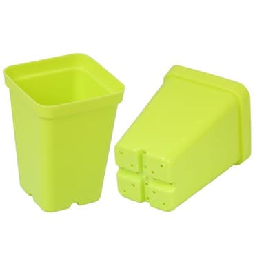SunPack 2.5" Square Pot, Lime Green