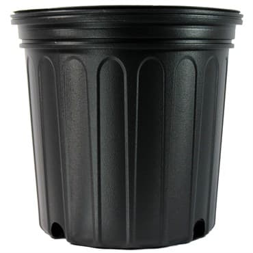 NS 600CU CUSTOM, TRADE SIZE 2 GALLON, 1.5 GALLON, BLACK 105/CS 50CS/TOWER (9"X8-1/2"), 2Gallon
